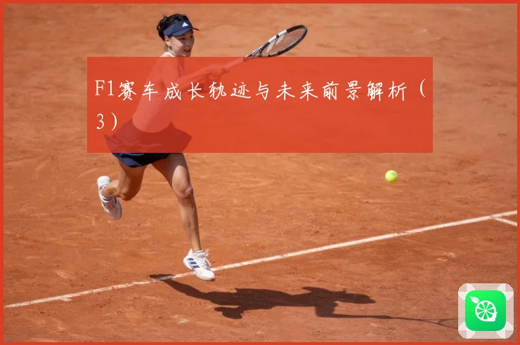 F1赛车成长轨迹与未来前景解析（3）