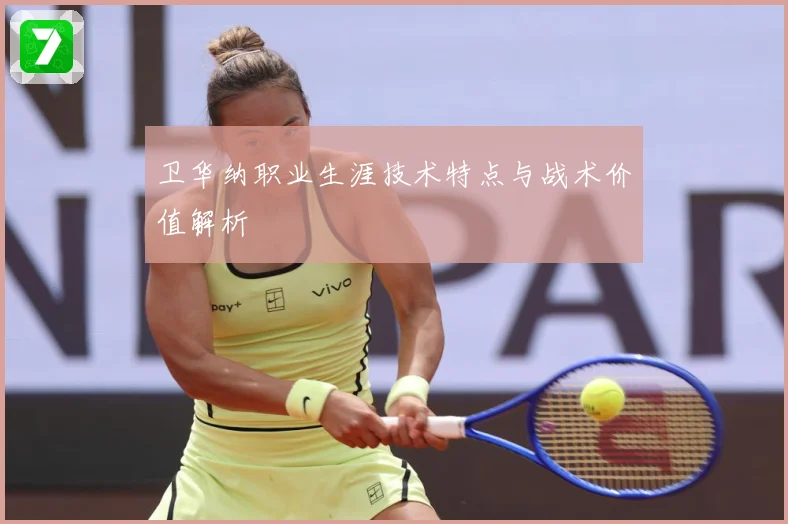 卫华纳职业生涯技术特点与战术价值解析