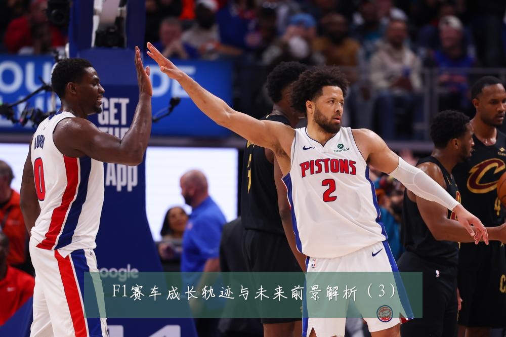 F1赛车成长轨迹与未来前景解析(3)