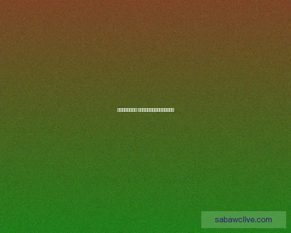 沙巴体育世界杯精彩赛事回顾与球迷狂欢盛况解析