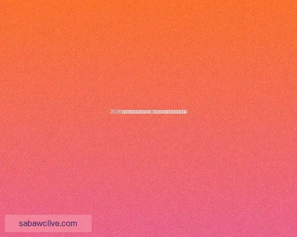 2026年世界杯举办城市全景解析 各地独特魅力与赛事准备全揭秘