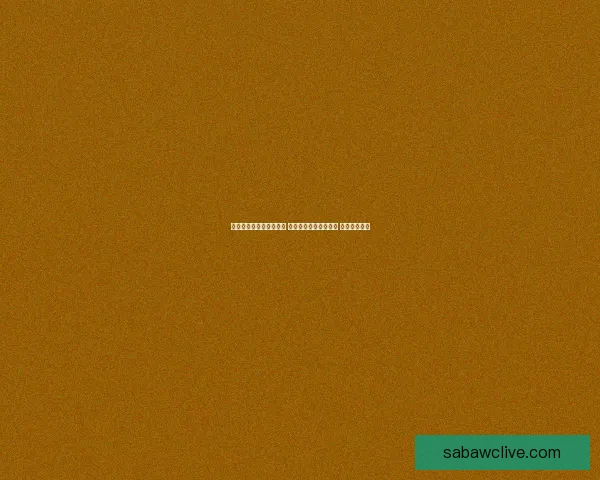 世界杯买球平台全面解析 优选平台助力投注决策 提升竞猜体验