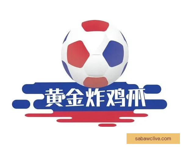 世界杯赛事预测与分析策略全解 精准把握投注机会提升竞猜成功率