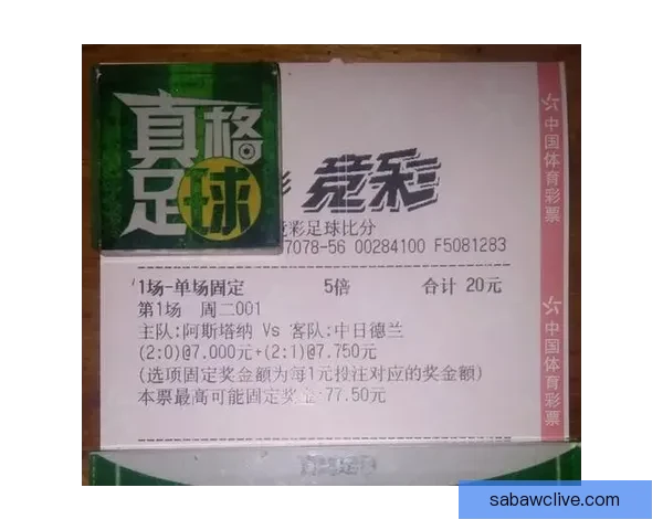 世界杯竞猜网站推荐与投注技巧分析助你精准预测赛事结果